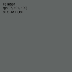 #616564 - Storm Dust Color Image